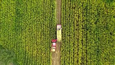 农田机器收割、绿色田野、自然风光视频的预览图